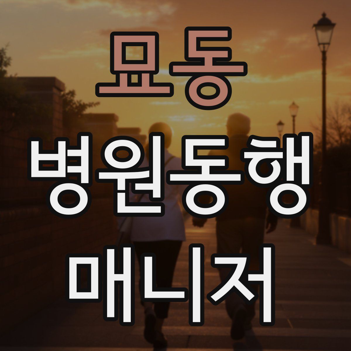 묘동 병원동행매니저 자격증