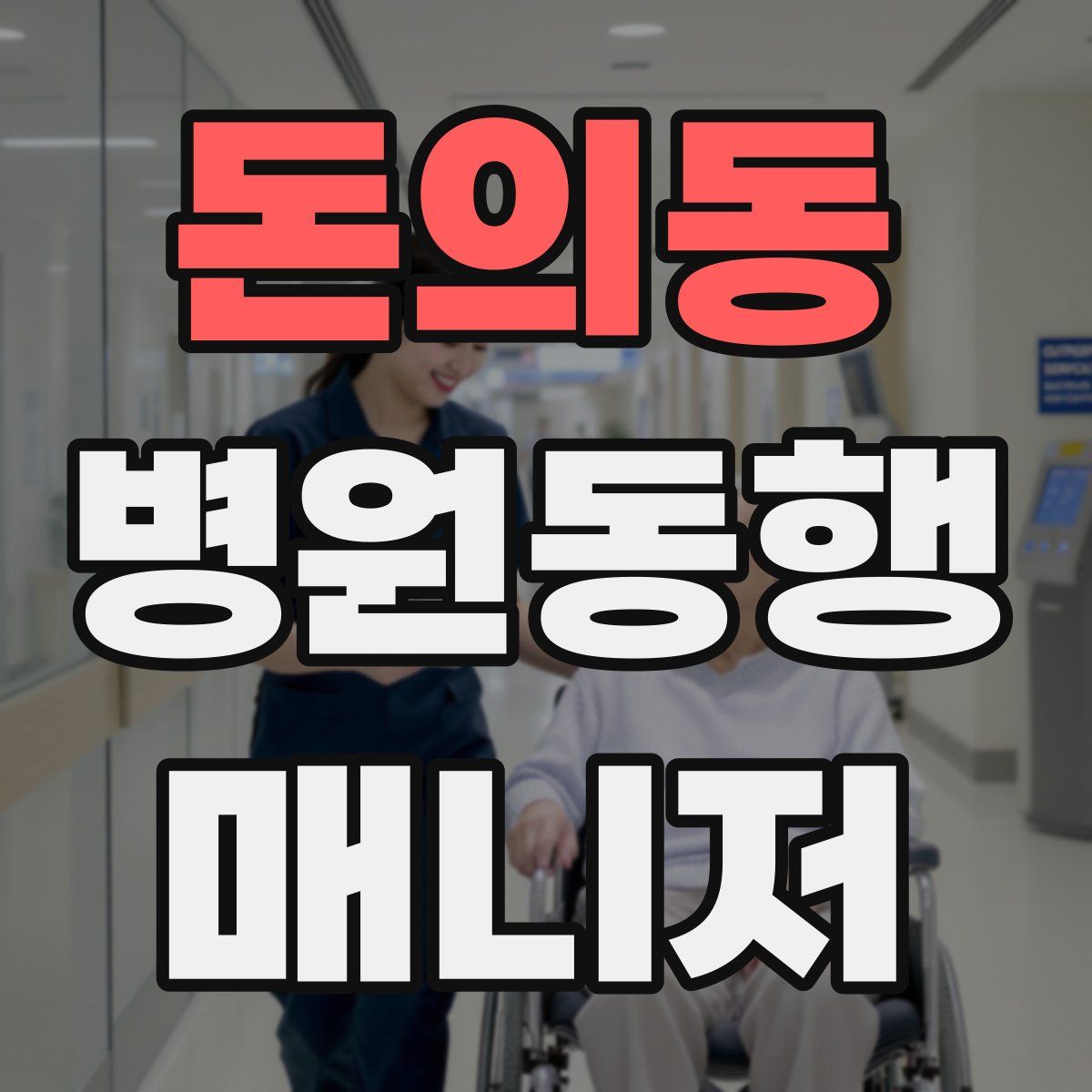 돈의동 병원동행매니저 자격증