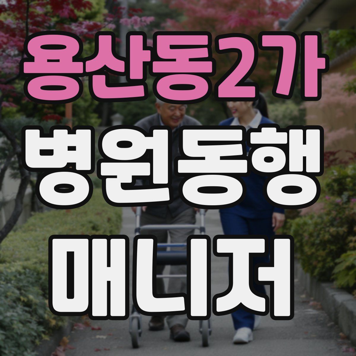 용산동2가 병원동행매니저 자격증