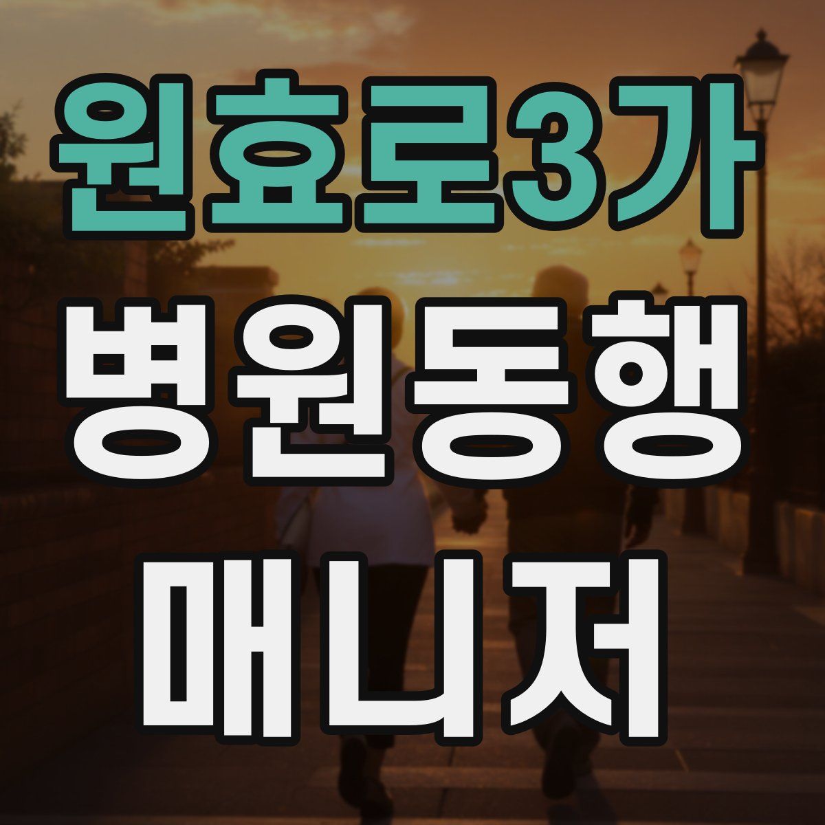 원효로3가 병원동행매니저 자격증