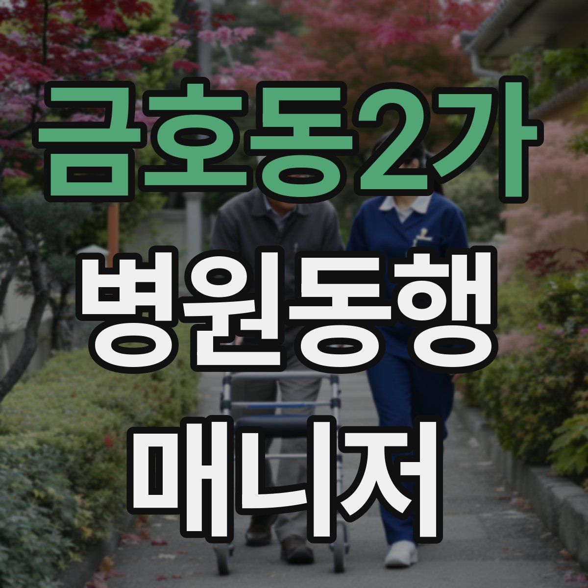 금호동2가 병원동행매니저 자격증