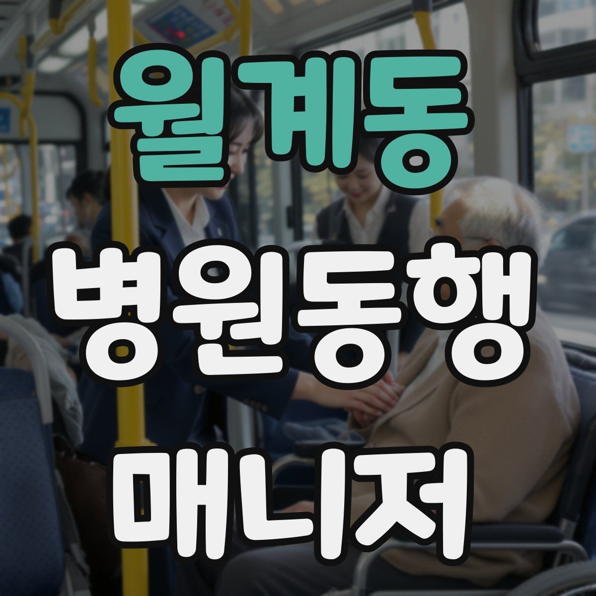 월계동 병원동행매니저 자격증 교육 시간과 시험 방식 비교 포인트