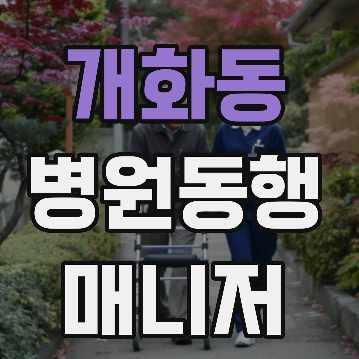 개화동 병원동행매니저 자격증