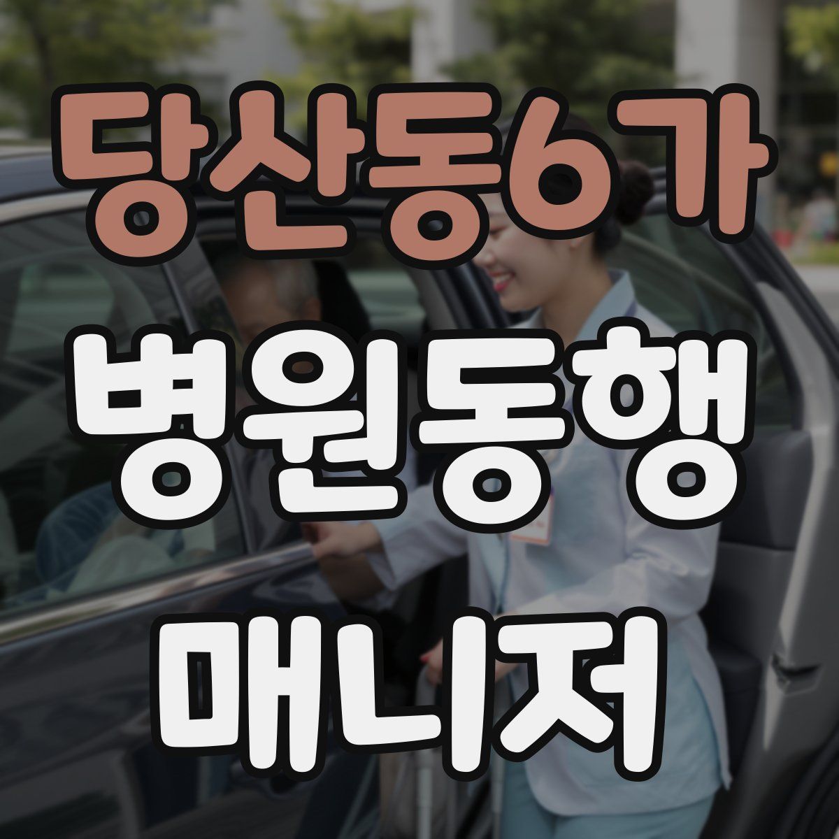 당산동6가 병원동행매니저 자격증