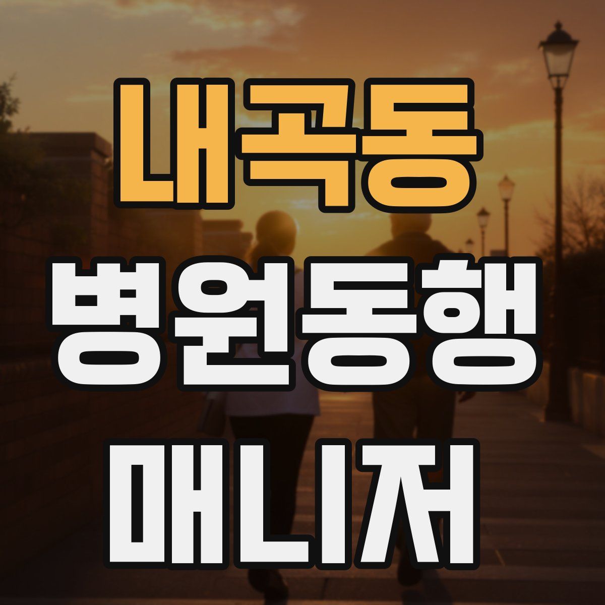 내곡동 병원동행매니저 자격증