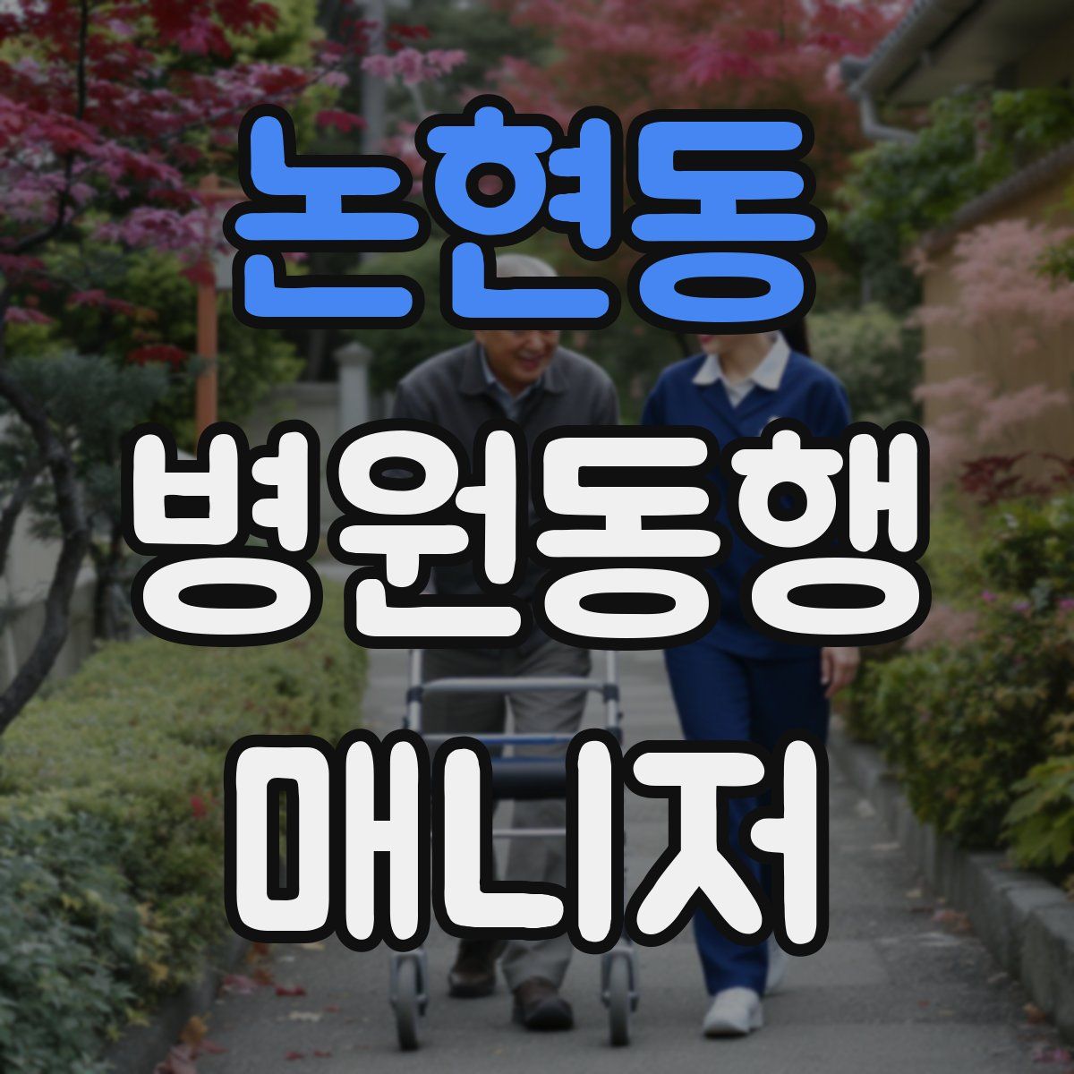 논현동 병원동행매니저 자격증