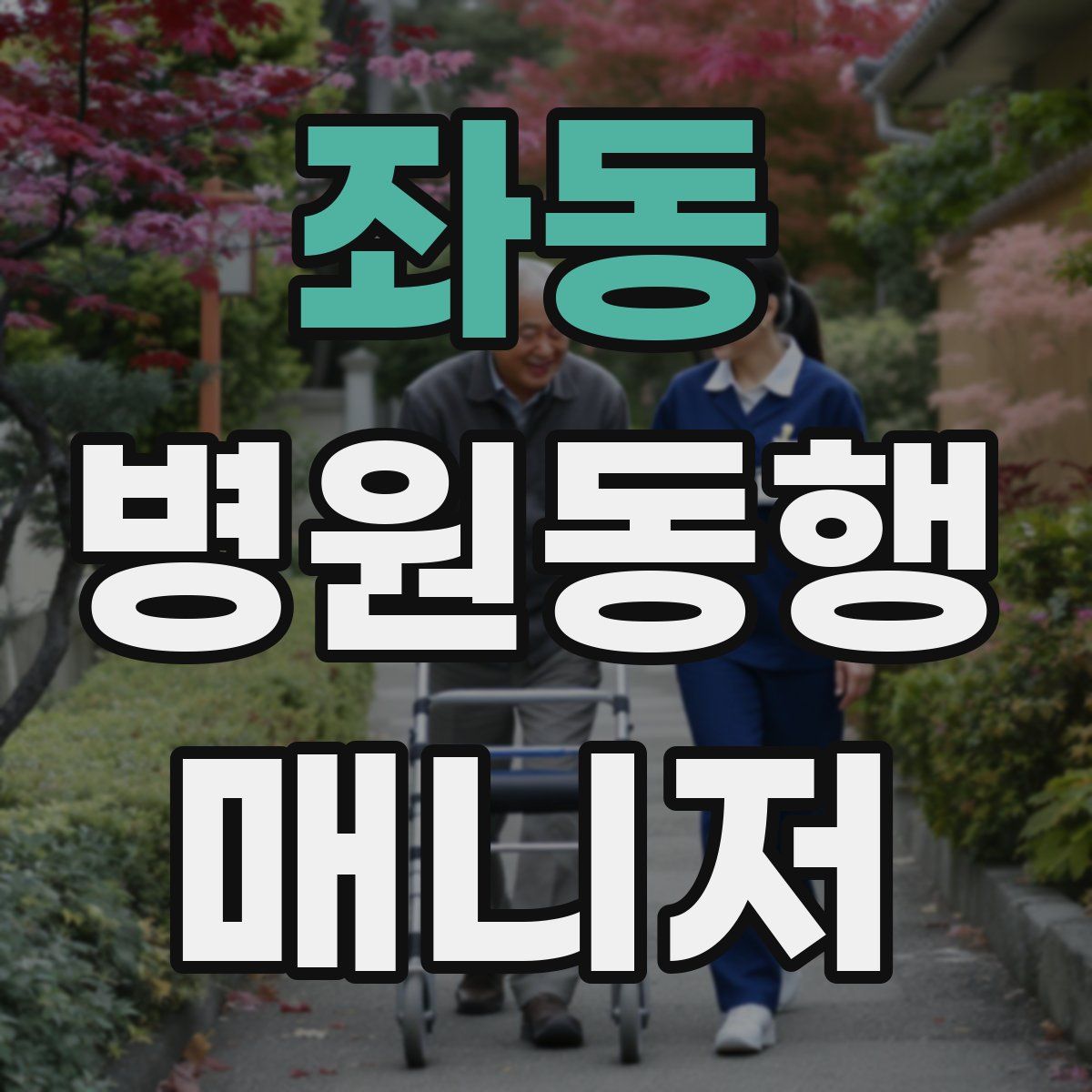 좌동 병원동행매니저 자격증