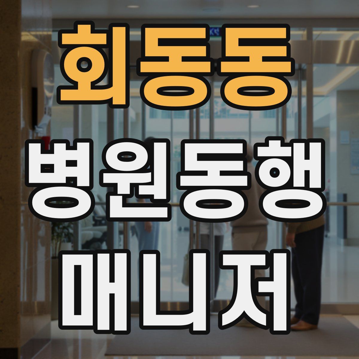 회동동 병원동행매니저 자격증