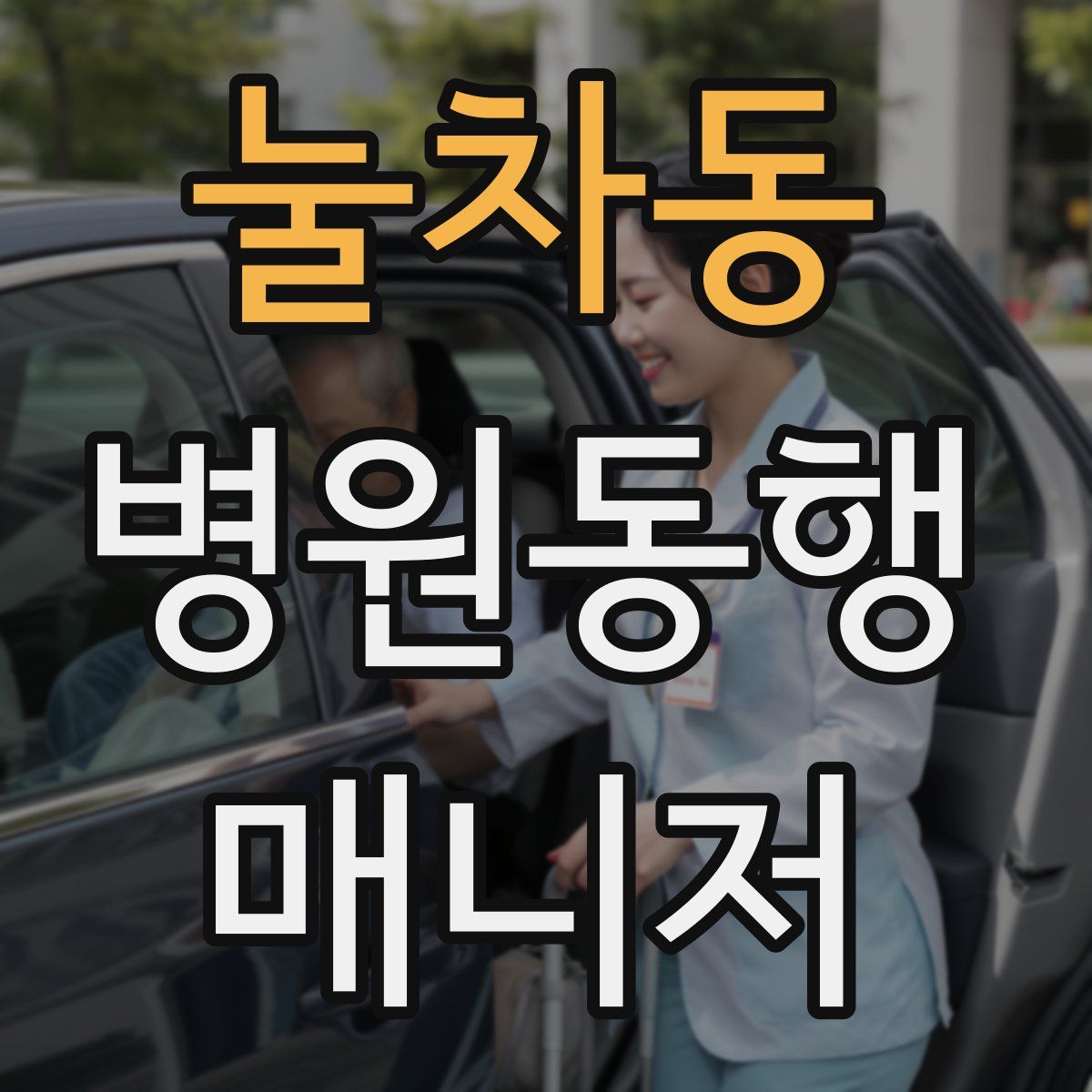 눌차동 병원동행매니저 자격증