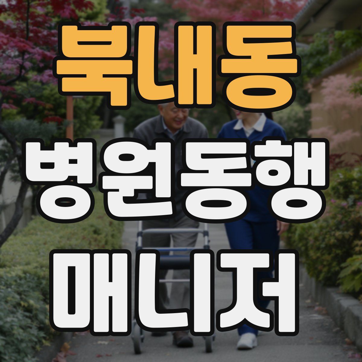 북내동 병원동행매니저 자격증