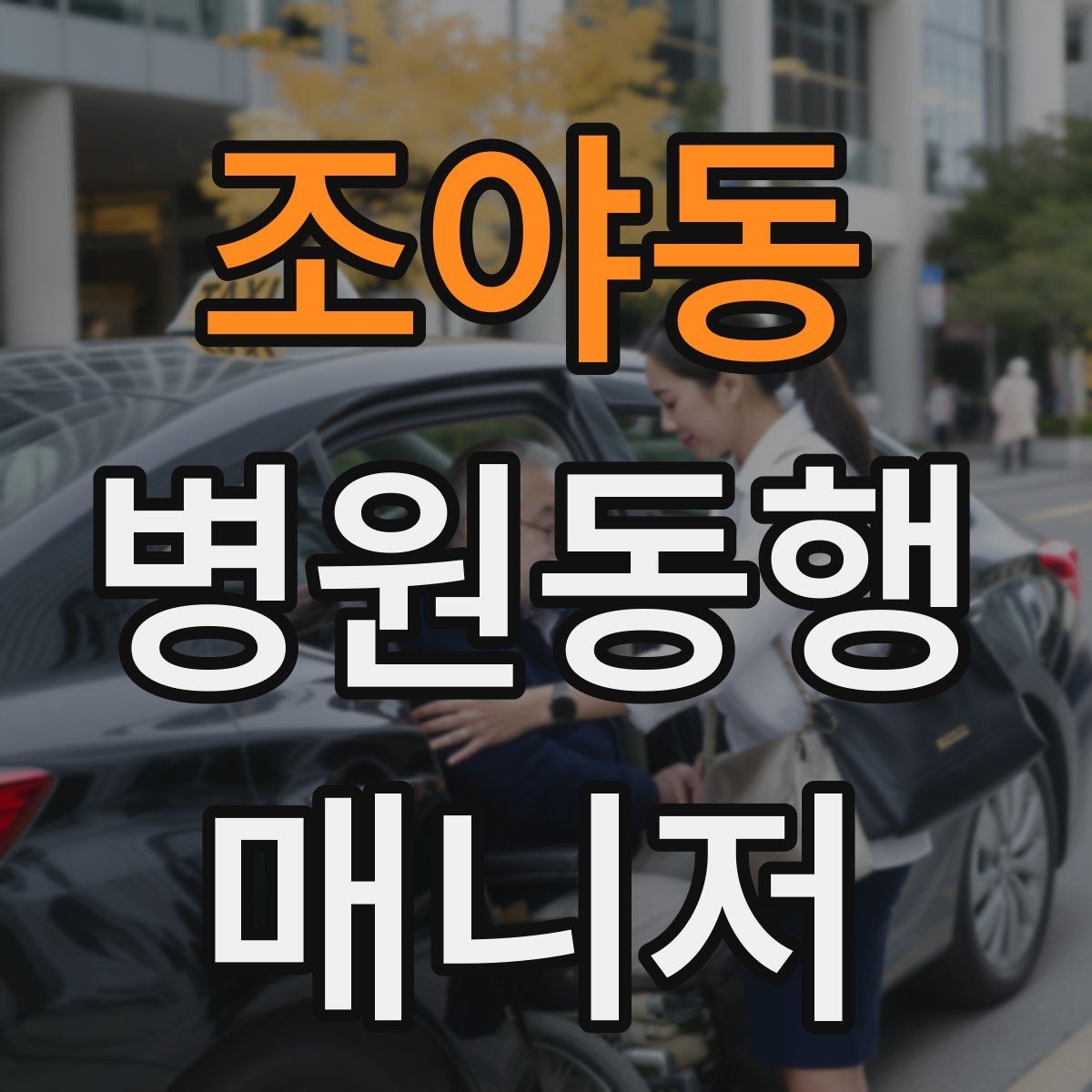 조야동 병원동행매니저 자격증 처방전 확인 포인트만 간단히 정리