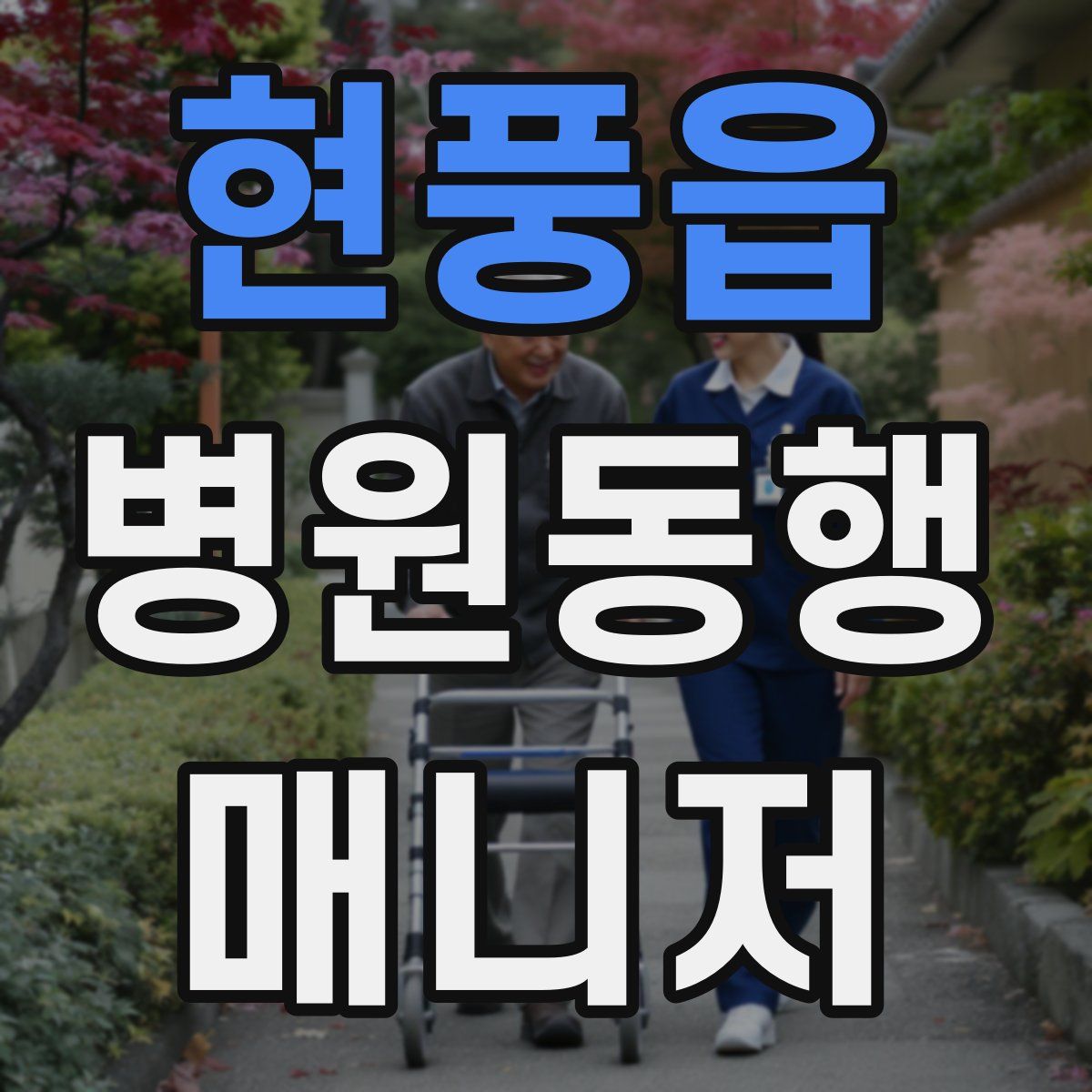 현풍읍 병원동행매니저 자격증