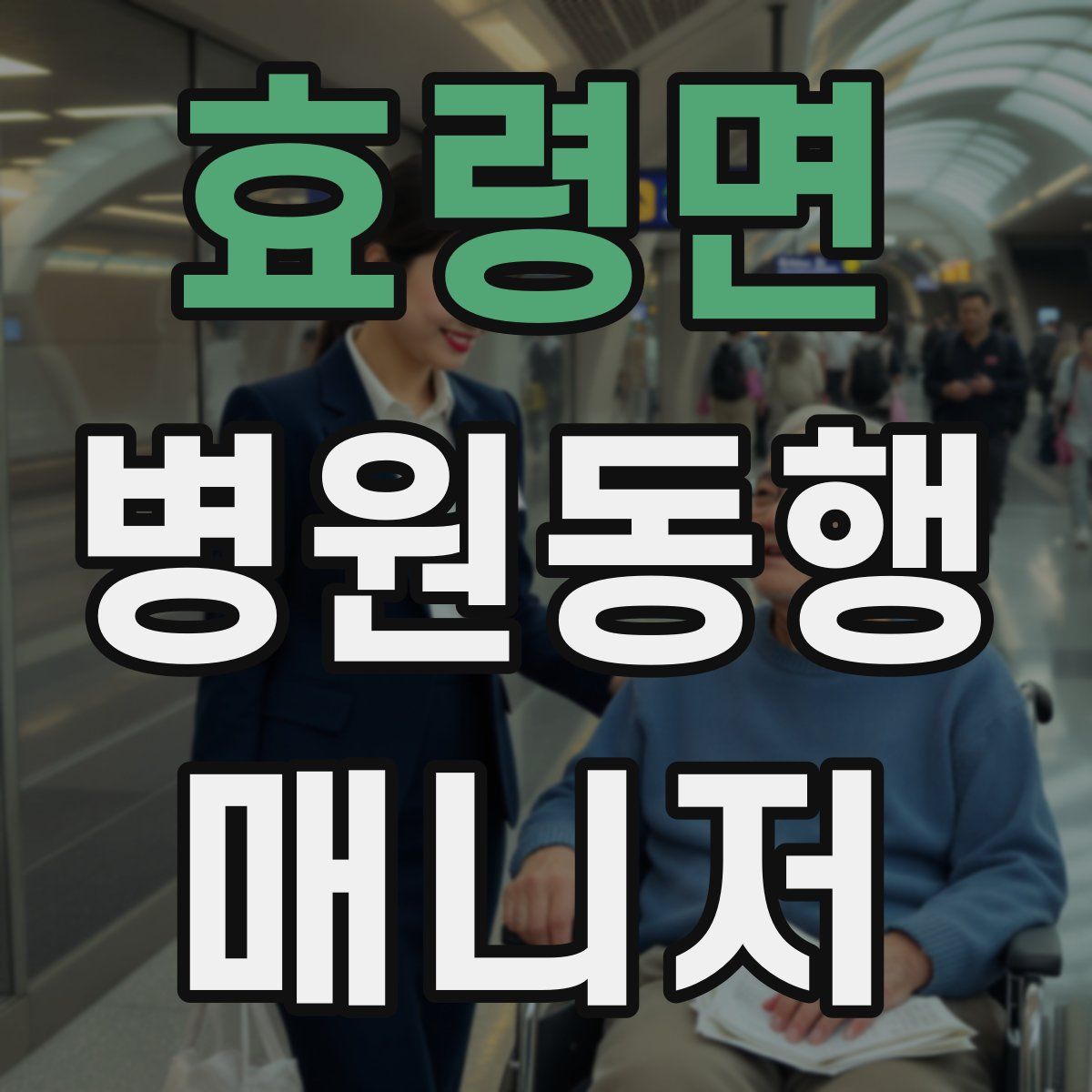 효령면 병원동행매니저 자격증