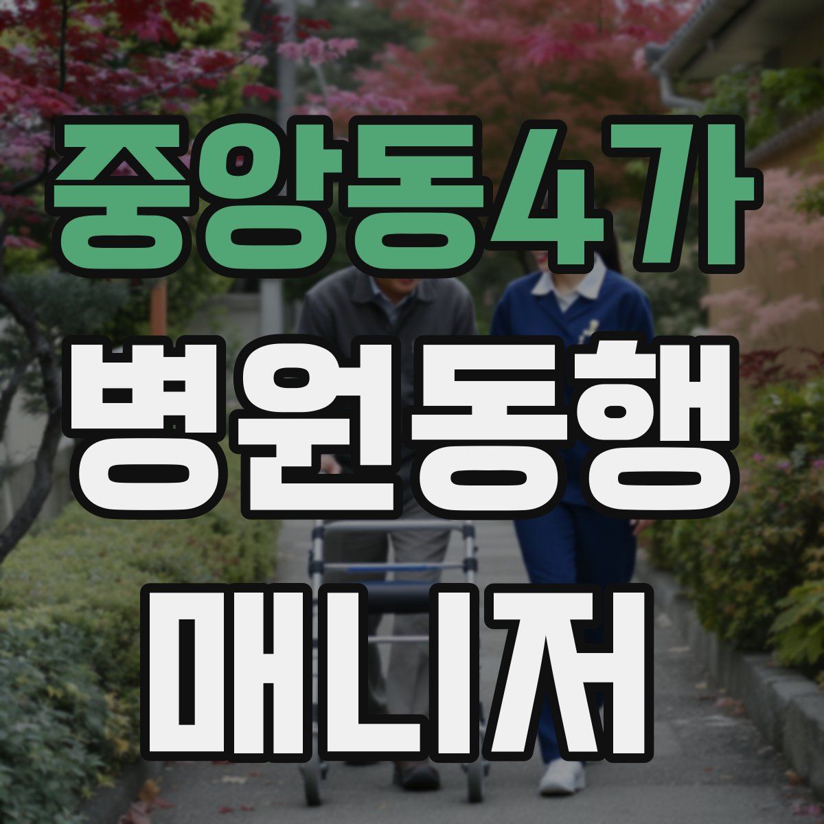 중앙동4가 병원동행매니저 자격증