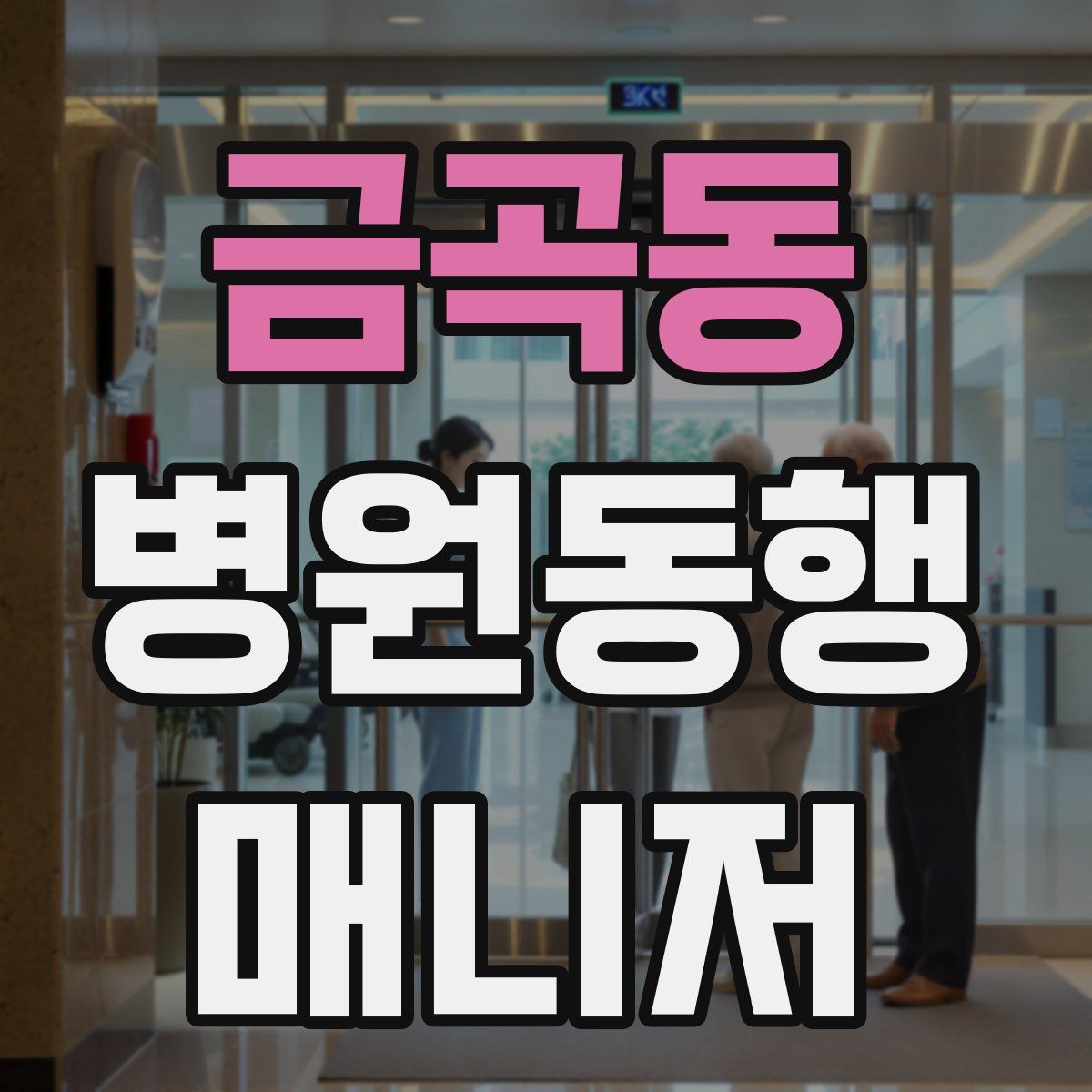 금곡동 병원동행매니저 자격증