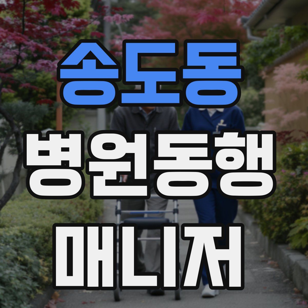 송도동 병원동행매니저 자격증