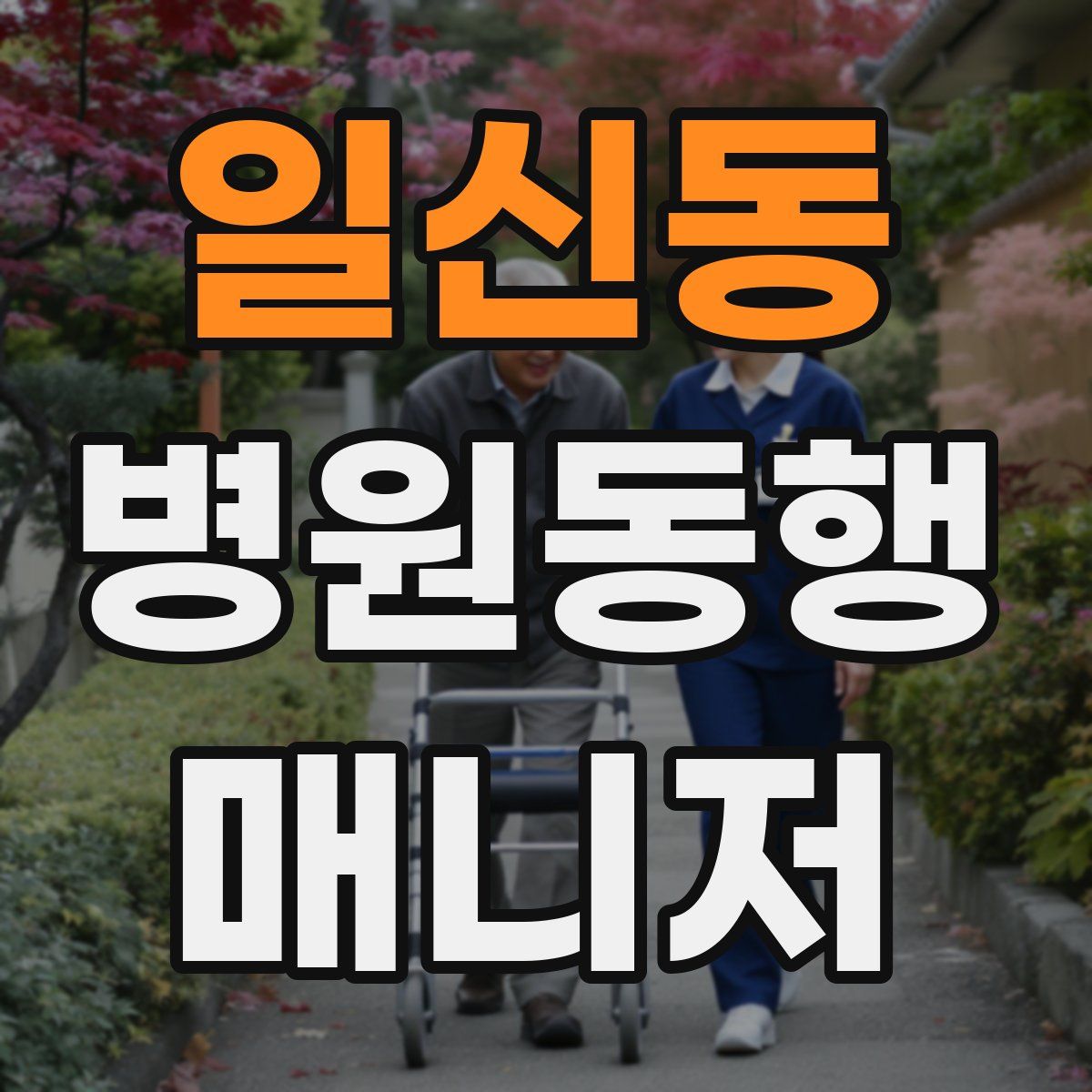 일신동 병원동행매니저 자격증