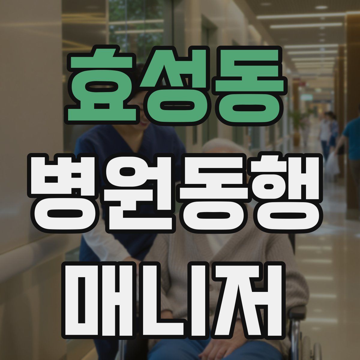 효성동 병원동행매니저 자격증