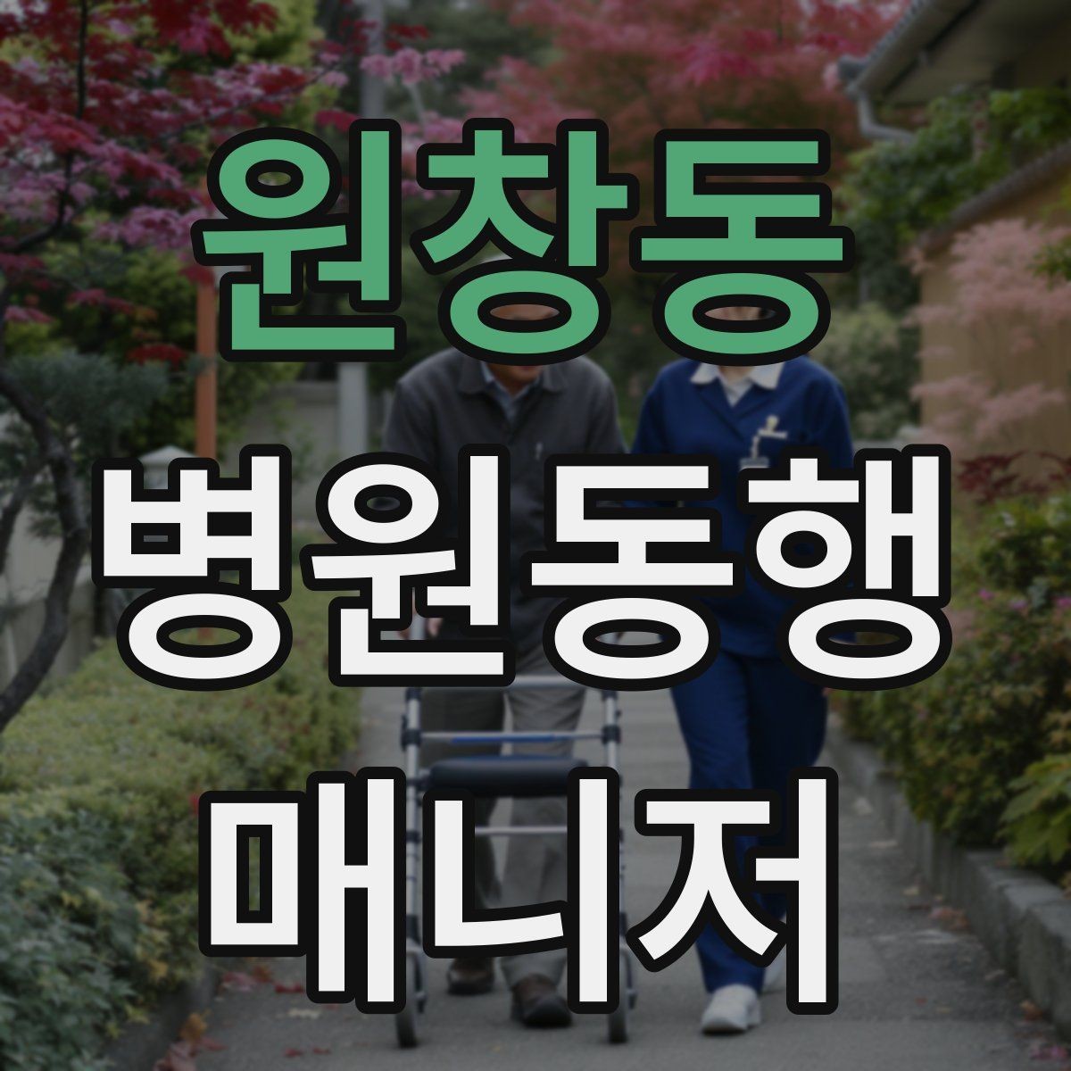 원창동 병원동행매니저 자격증 자주 나오는 개념을 빠르게 정리