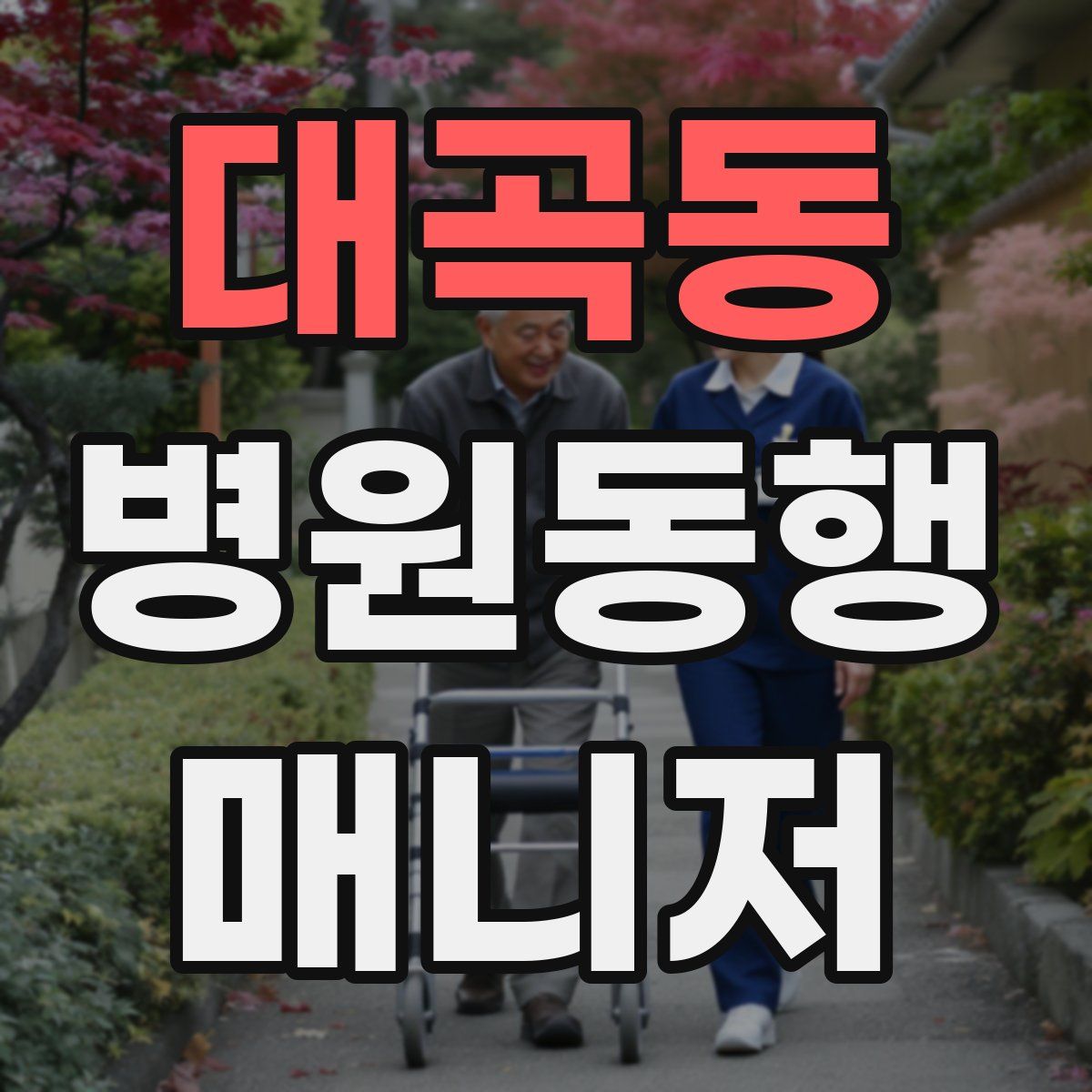 대곡동 병원동행매니저 자격증