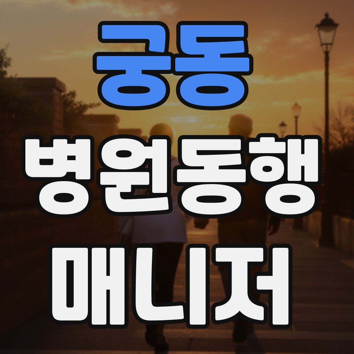 궁동 병원동행매니저 자격증