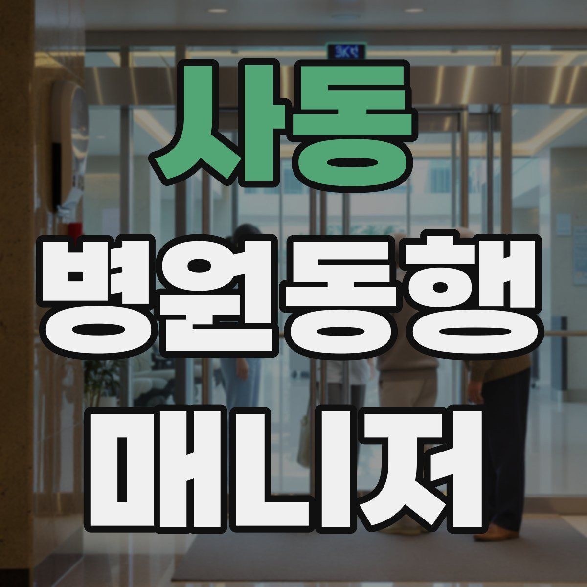 사동 병원동행매니저 자격증 동행 범위 문구를 깔끔하게 정리하기