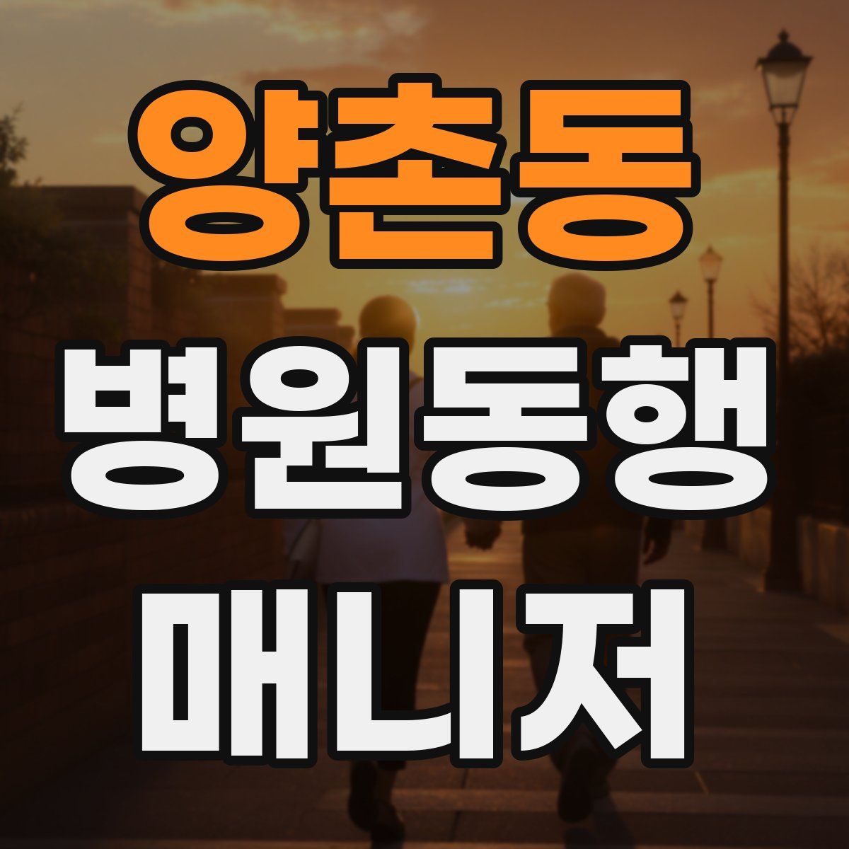양촌동 병원동행매니저 자격증