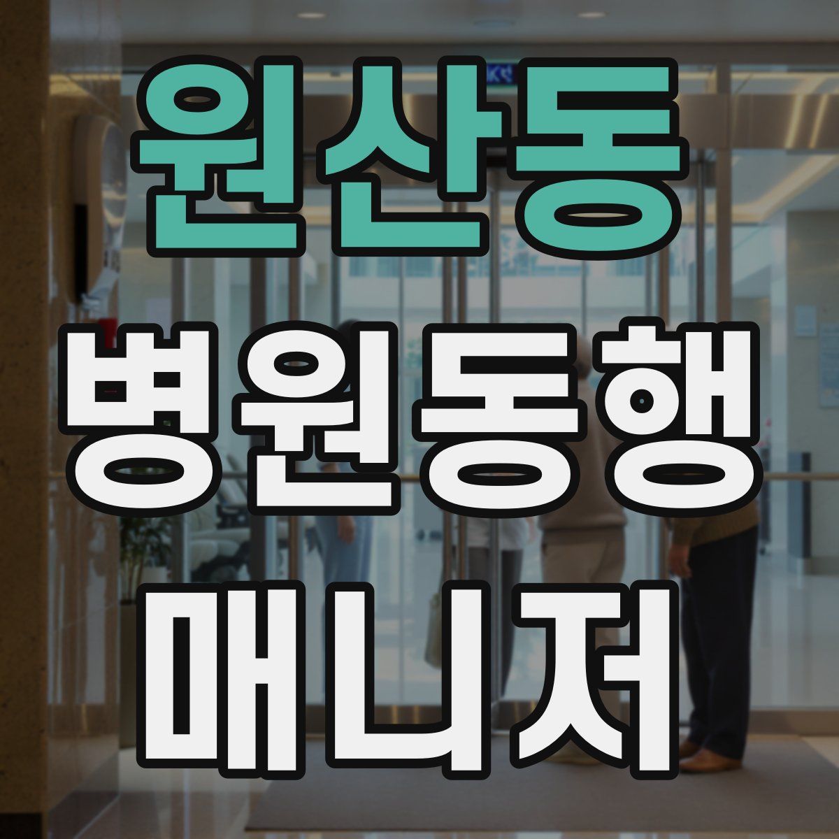 원산동 병원동행매니저 자격증