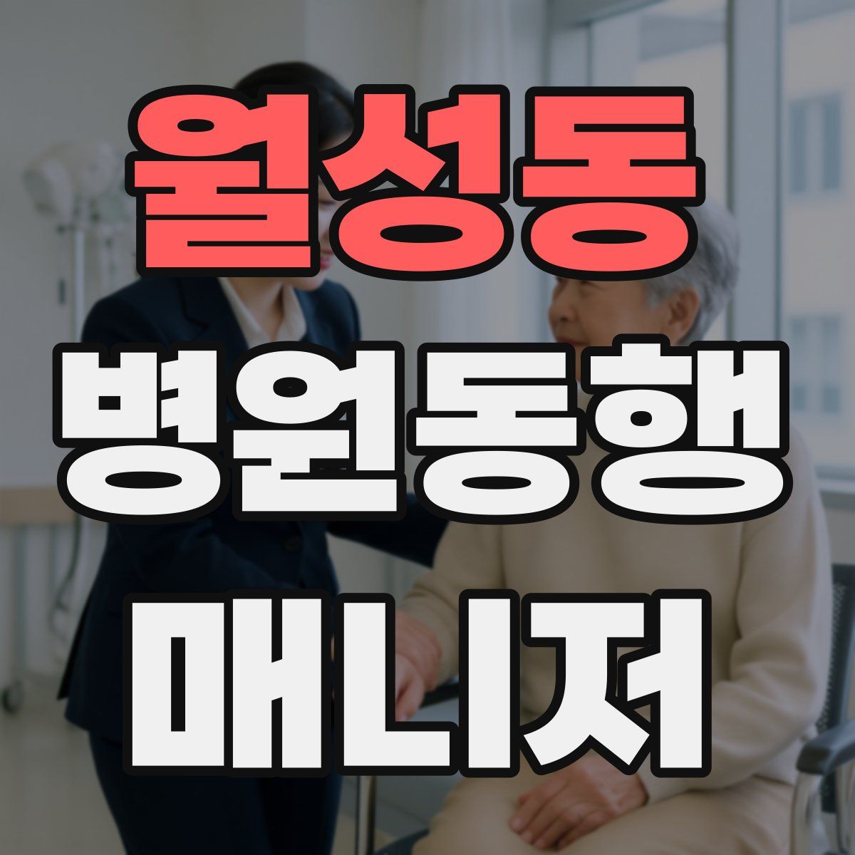 월성동 병원동행매니저 자격증