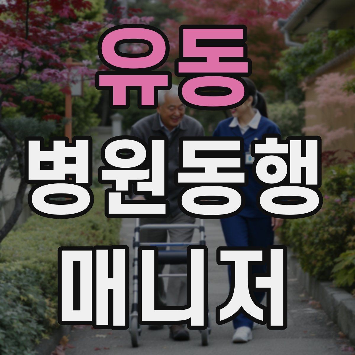 유동 병원동행매니저 자격증 한 번에 이해하는 동행업무 핵심 정리