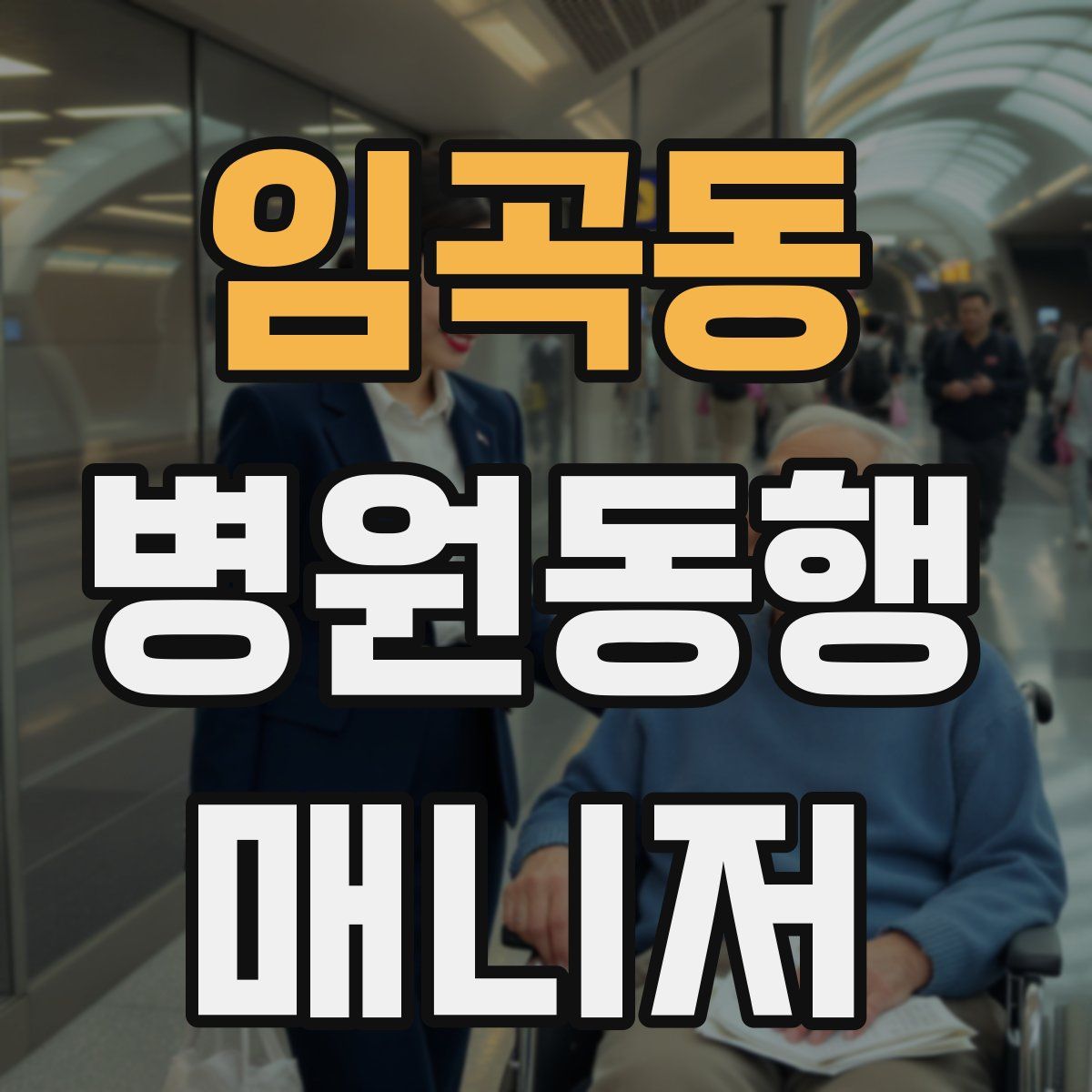 임곡동 병원동행매니저 자격증