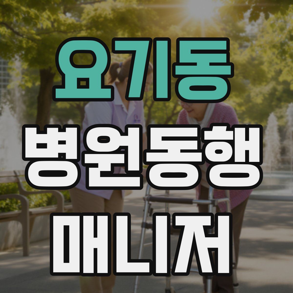 요기동 병원동행매니저 자격증