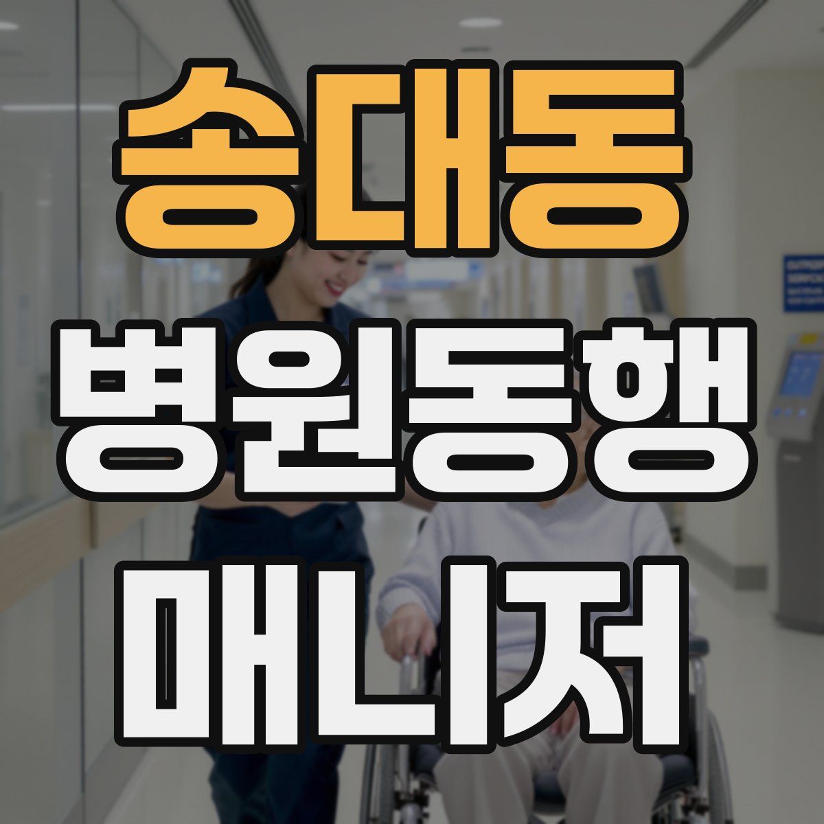 송대동 병원동행매니저 자격증