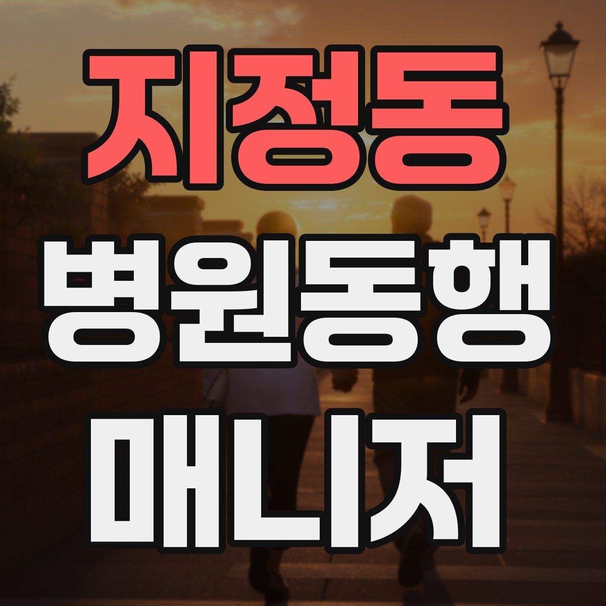 지정동 병원동행매니저 자격증