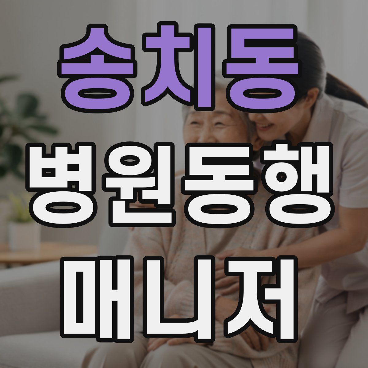 송치동 병원동행매니저 자격증