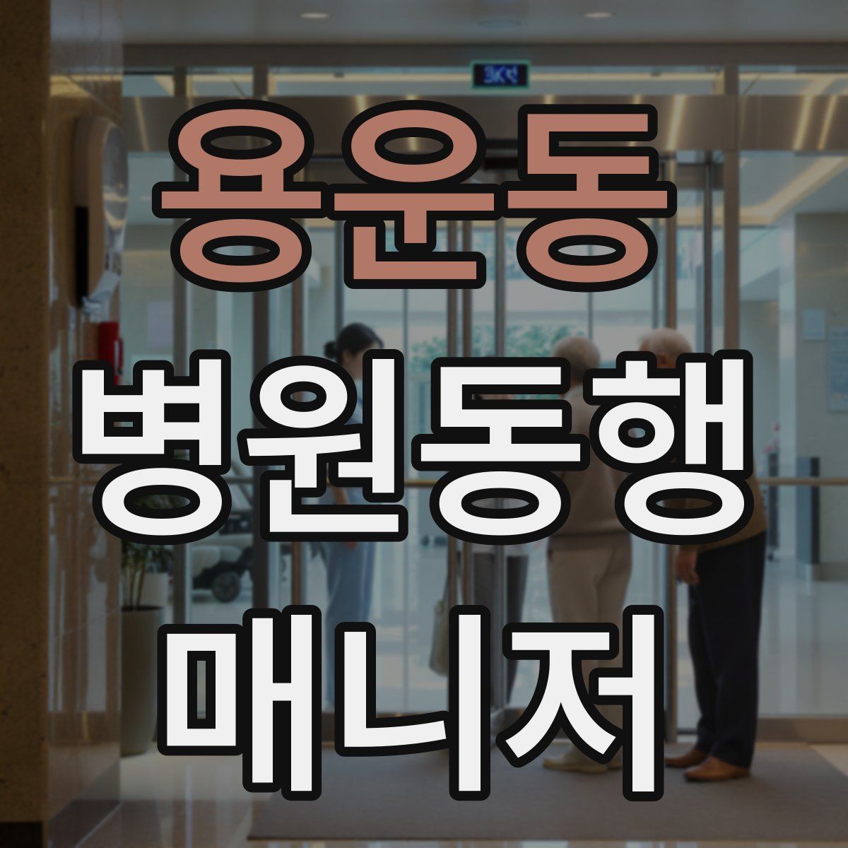 용운동 병원동행매니저 자격증