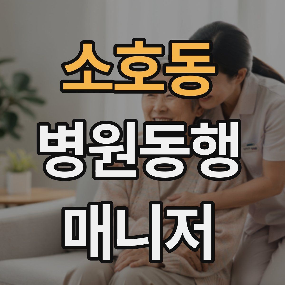 소호동 병원동행매니저 자격증 시작하기 전에 꼭 알아야 할 주의사항