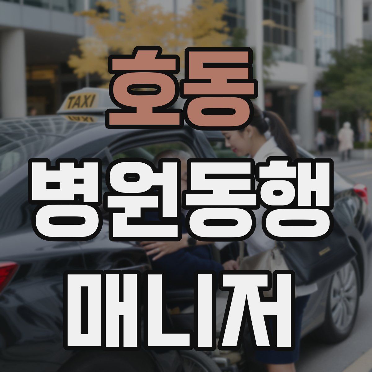 호동 병원동행매니저 자격증