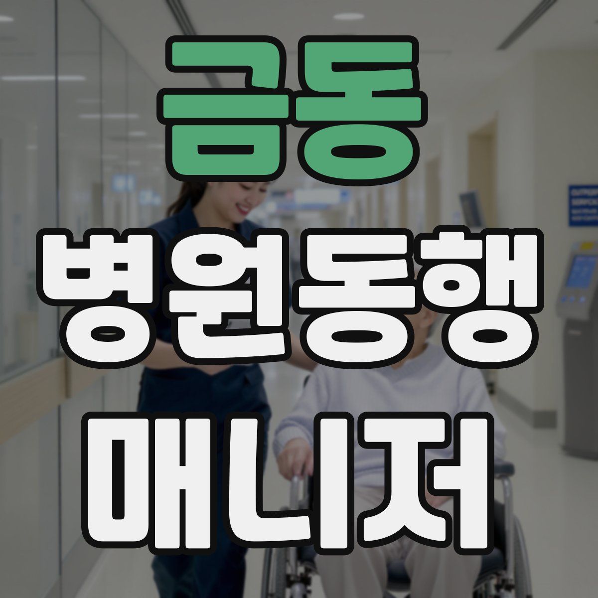 금동 병원동행매니저 자격증