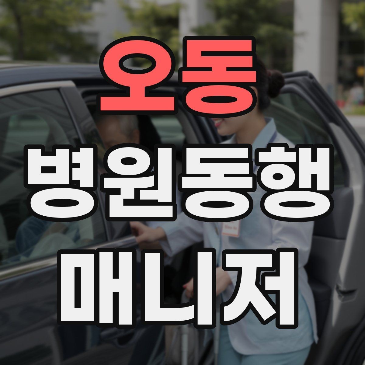 오동 병원동행매니저 자격증 예약 확인 전화에서 묻기 좋은 항목