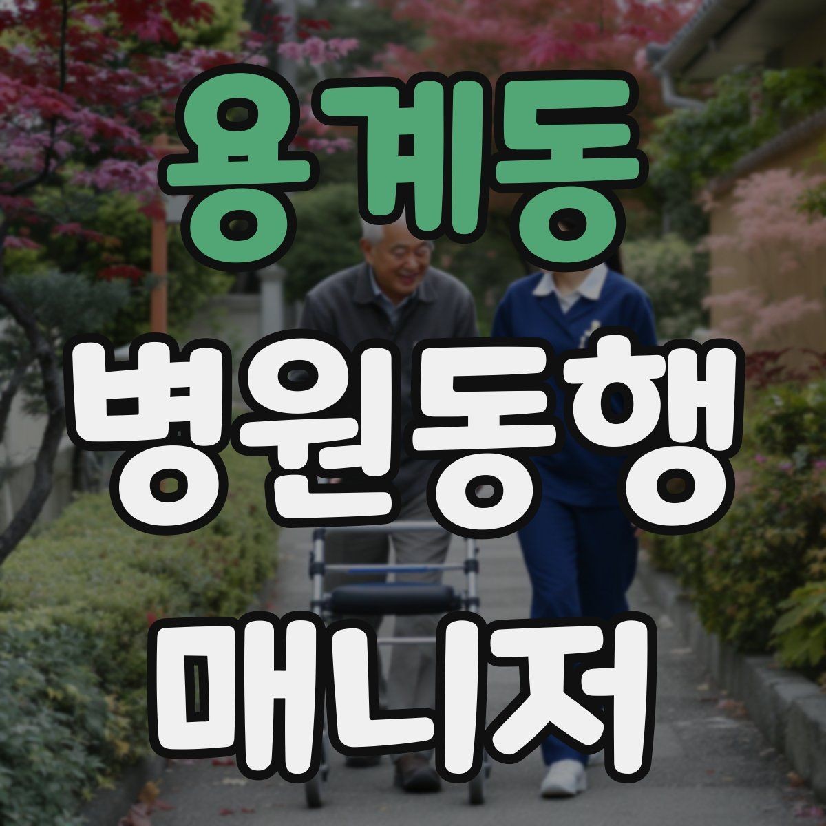용계동 병원동행매니저 자격증 발급 기관 선택 시 주의사항