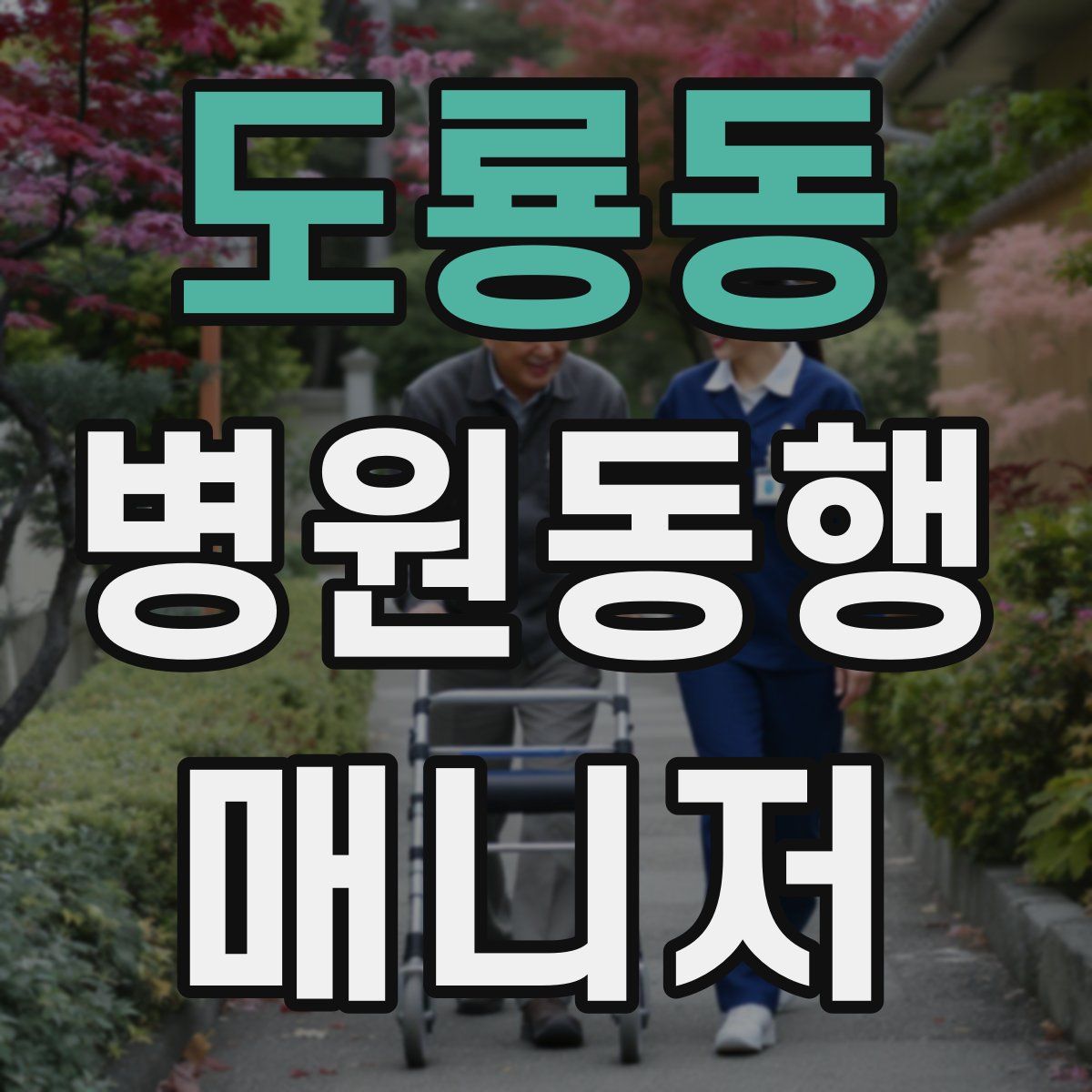 도룡동 병원동행매니저 자격증