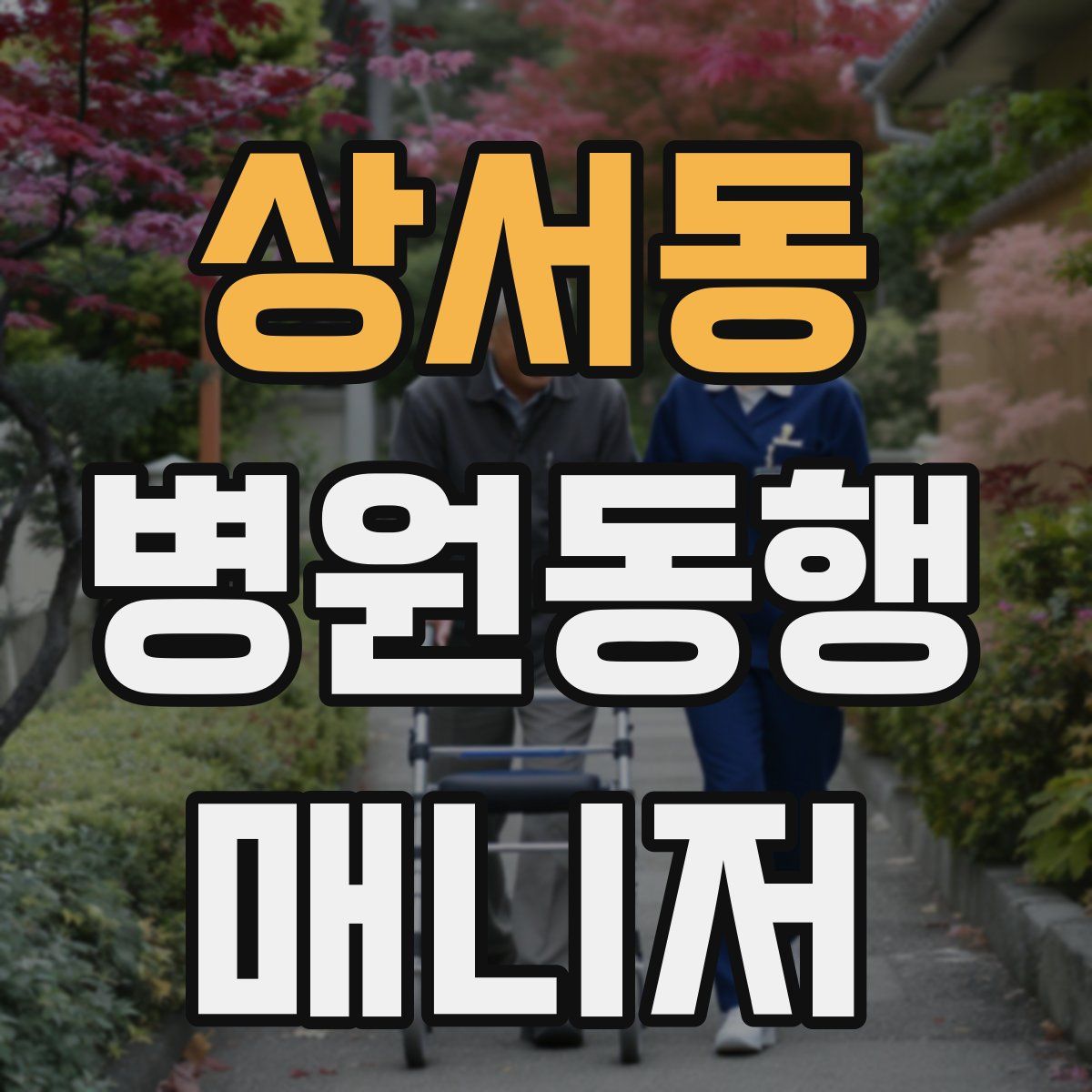 상서동 병원동행매니저 자격증