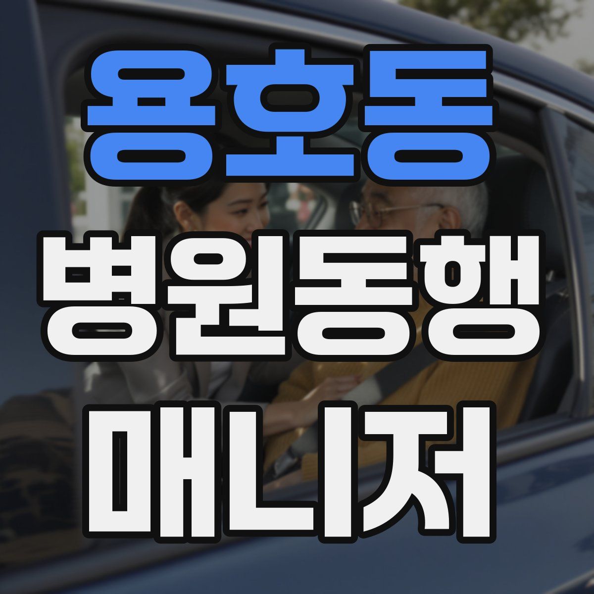 용호동 병원동행매니저 자격증