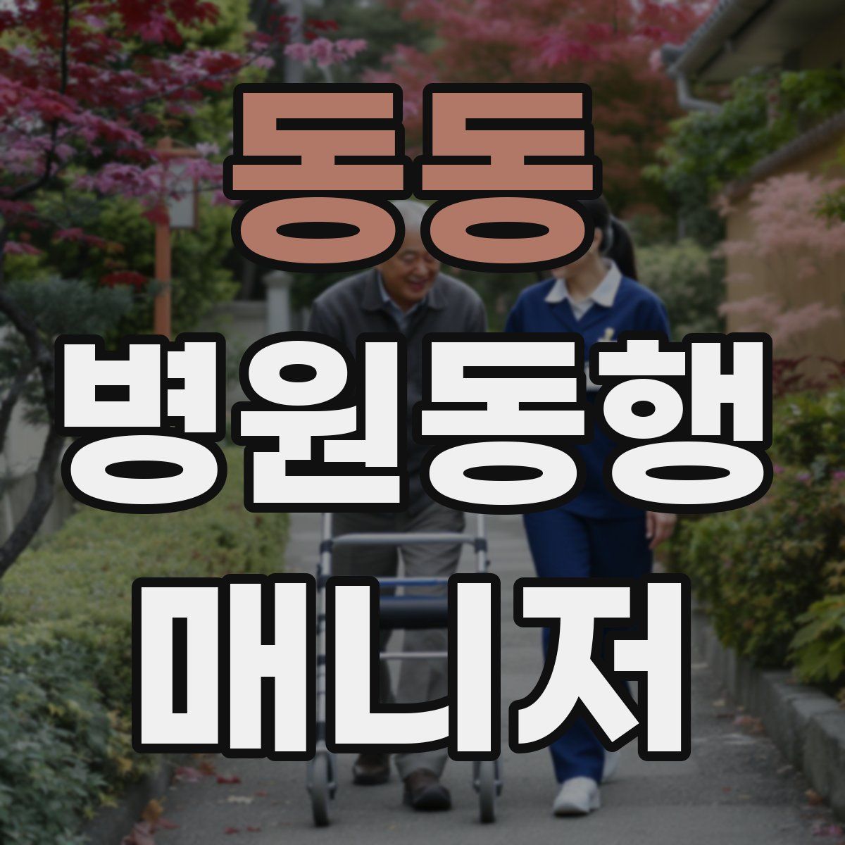 동동 병원동행매니저 자격증