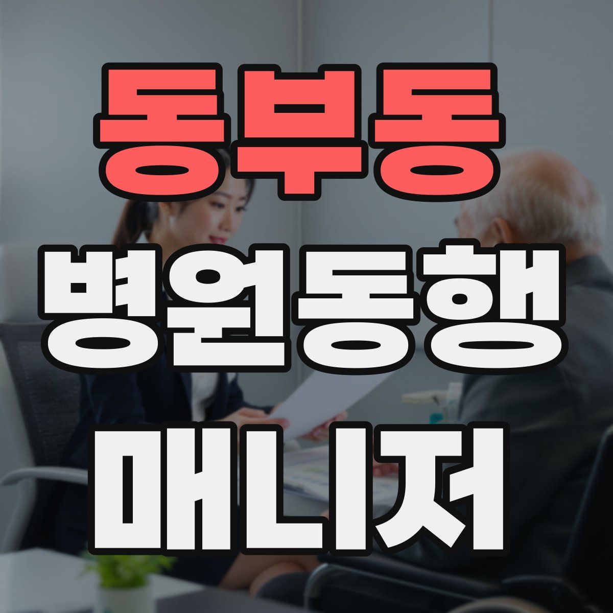 동부동 병원동행매니저 자격증