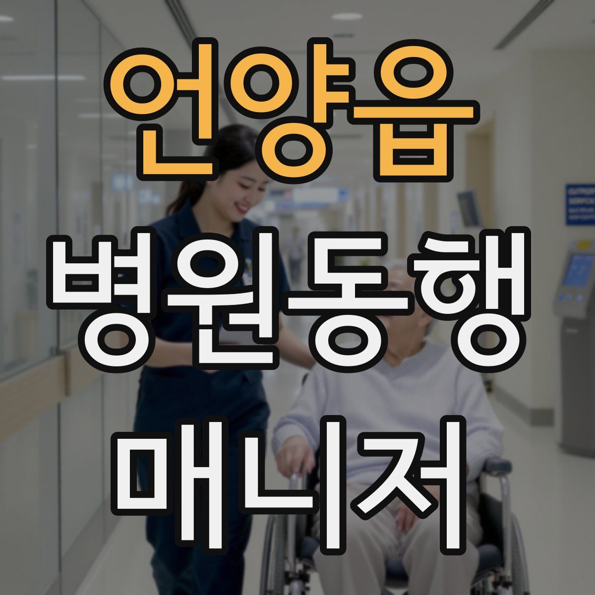 언양읍 병원동행매니저 자격증