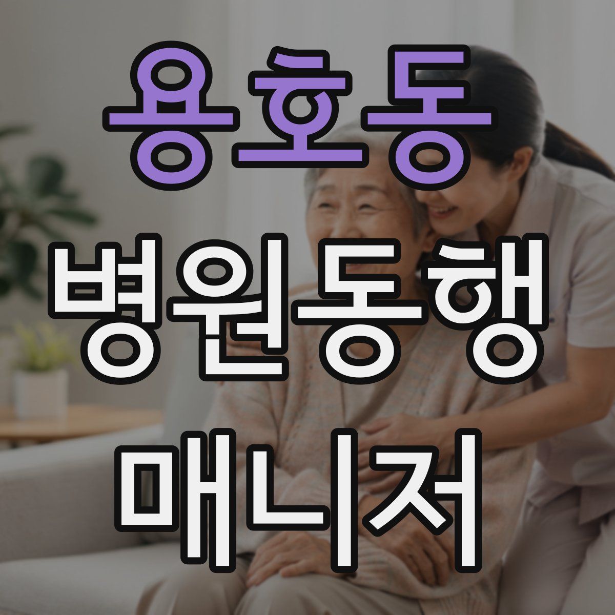 용호동 병원동행매니저 자격증