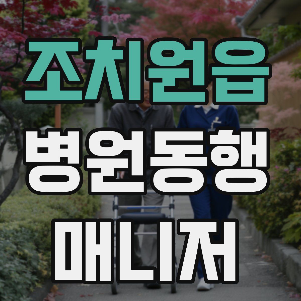 조치원읍 병원동행매니저 자격증