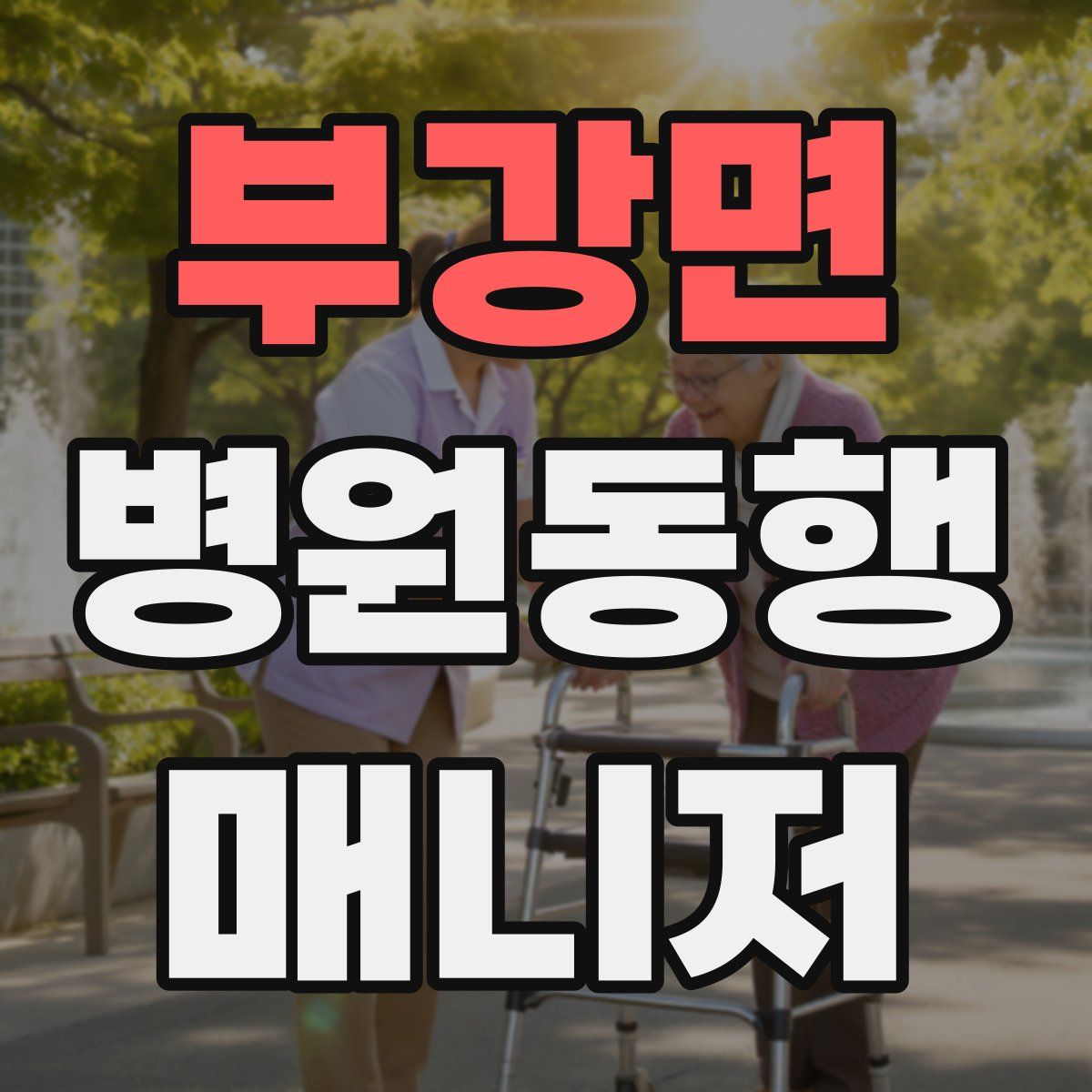 부강면 병원동행매니저 자격증